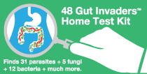 picture of the 48 gut invaders home test product