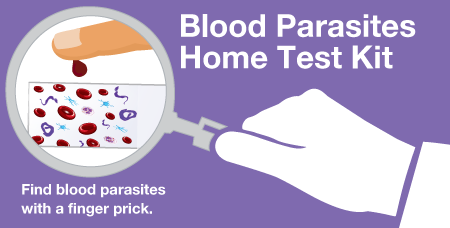 picture of the blood parasite home test product