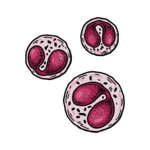 Do Parasites Show Up In Blood Work?