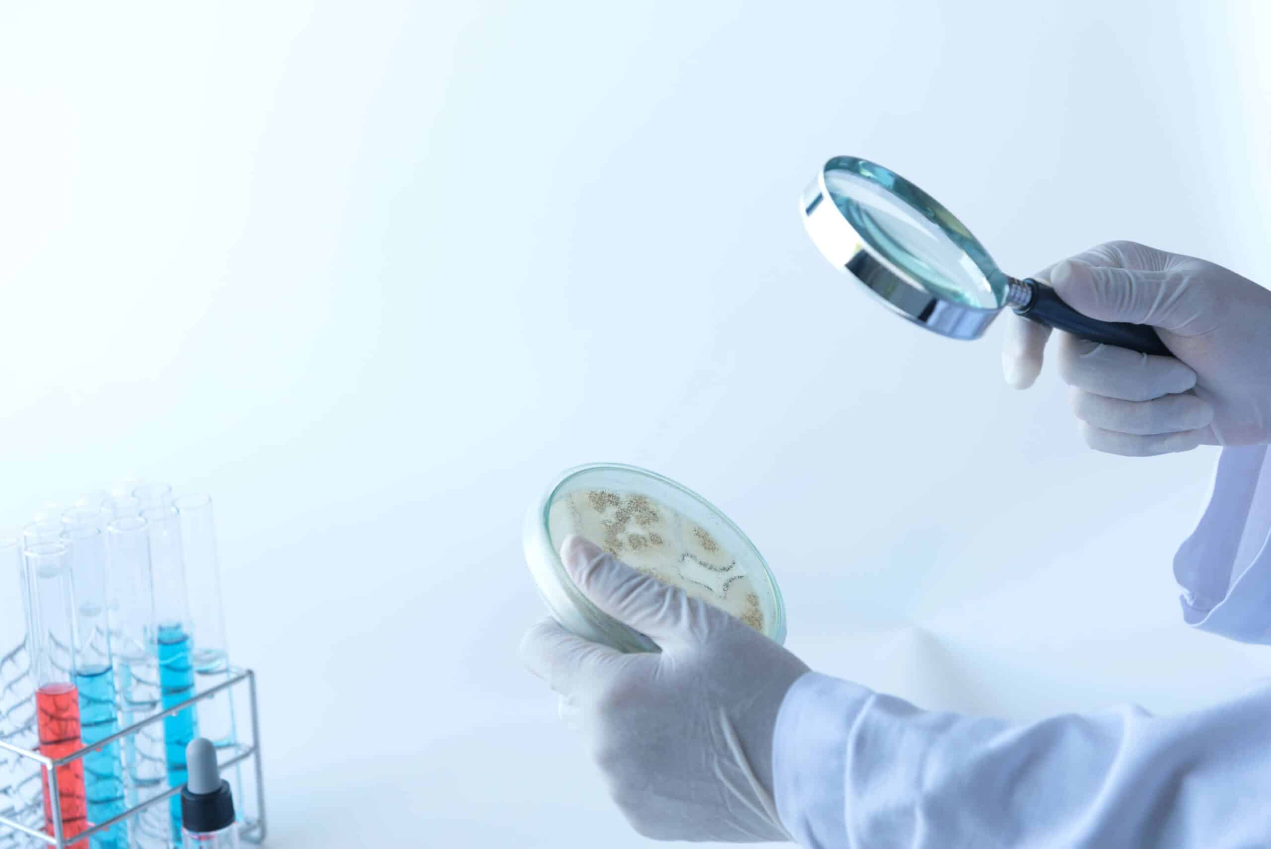 How To Test for Parasites