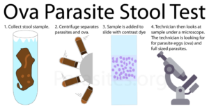 Ova Parasite Stool Test