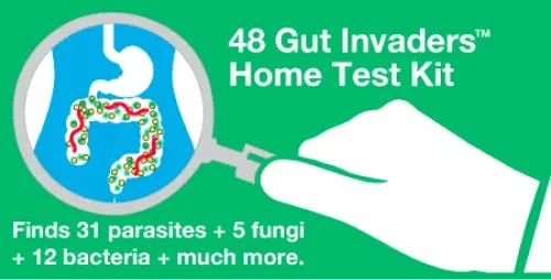 Gut Parasites + Fungi + Bacteria Test